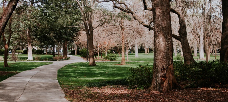 A path through a park.