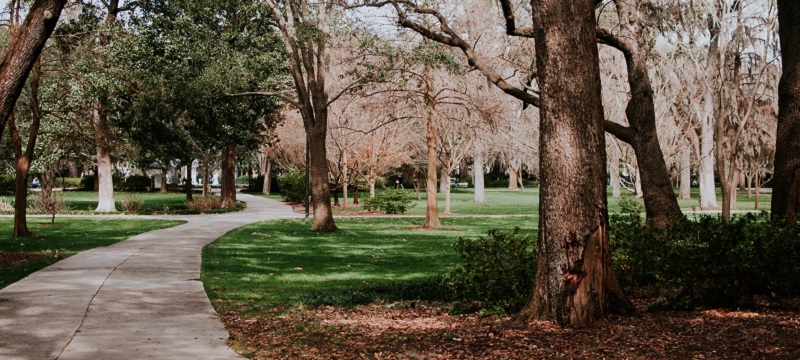 A path through a park.