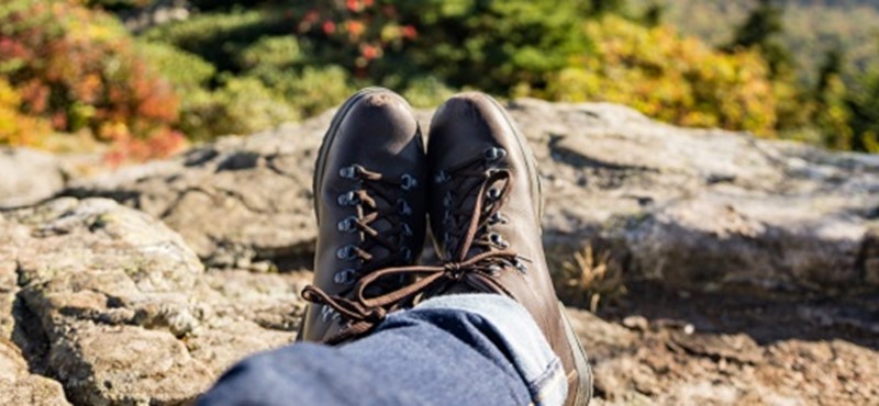 Photo of a walker and a picturesque view.