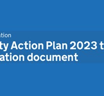 Disability Action Plan: Consultation