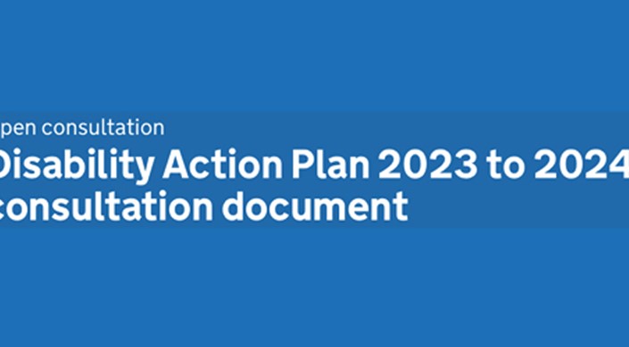 Disability Action Plan: Consultation