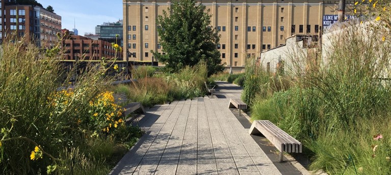 Your Complete Guide to Visiting the High Line