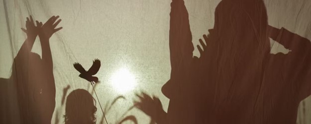 Shadow Signs article image