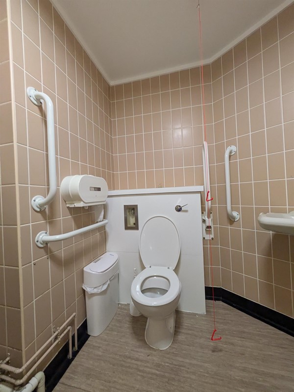 Image of sink in the accessible toilet