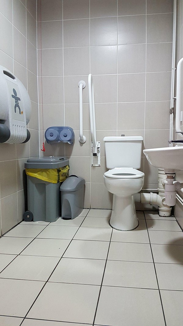 Accessible toilet