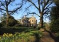 Park House amidst the daffodils