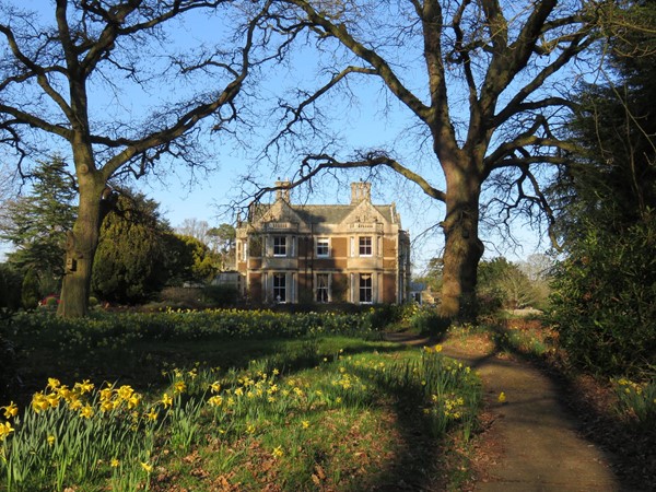 Park House amidst the daffodils