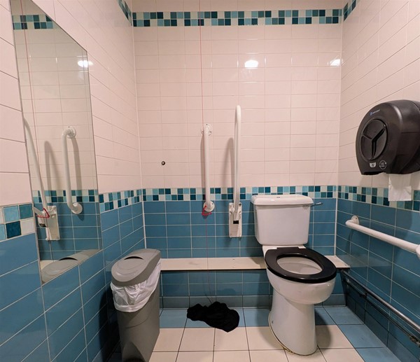 Image of small accessible toilet
