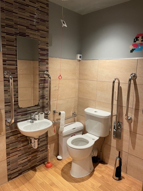 Image of an accessible toilet