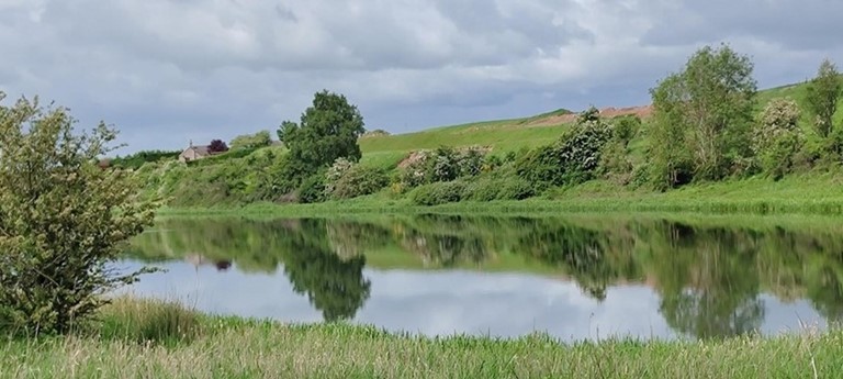 Forfar Lochside Caravan and Motorhome Club Campsite