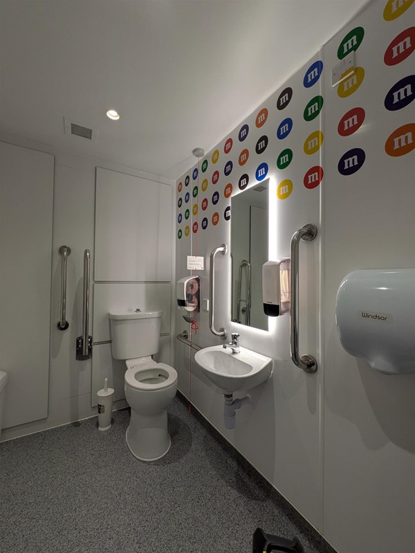 Image of accessible toilet