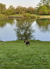 Coate Water Country Park