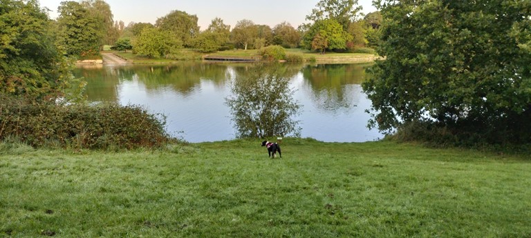 Coate Water Country Park