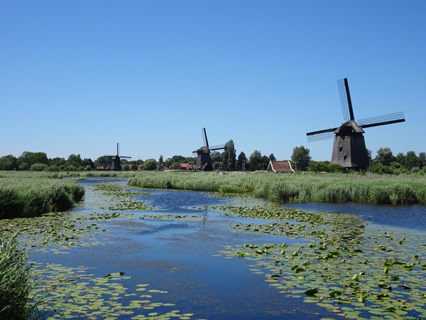 Oudorperhout Foundation, Oudorp