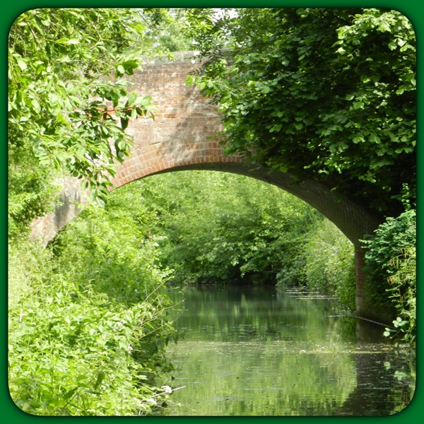 Canal bridge view