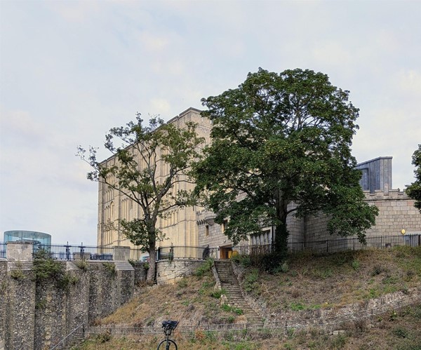 Image of Norwich Castle from the park