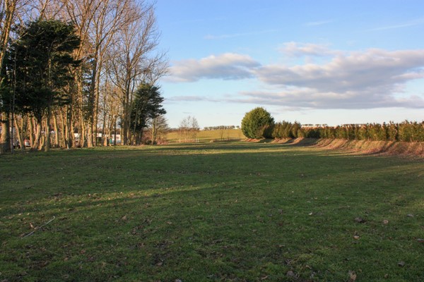 Dog field which is nice and long and flat.