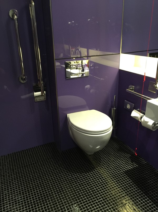 An Accessible bedroom's wet room
