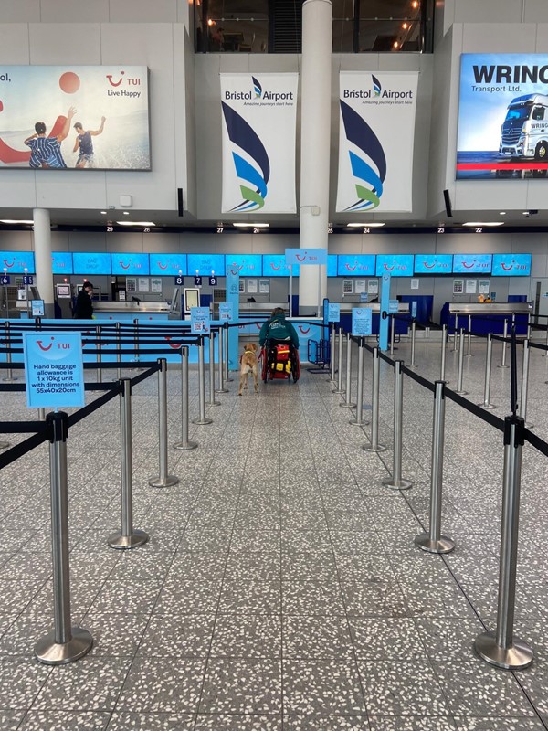Image of check in desks at Bristol Airport