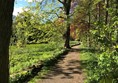 Path around lake