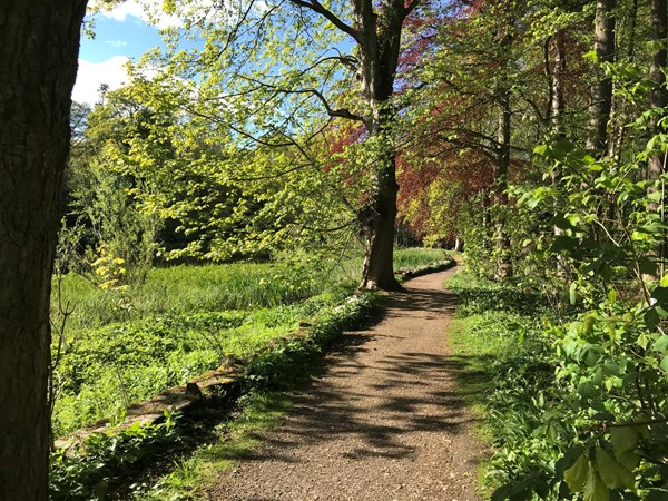 Path around lake