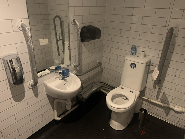 Image of accessible toilet and sink