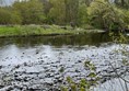 Image of Low Barns Nature Reserve