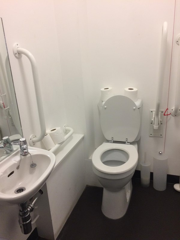 Photo of disabled access toilet at Yvonne Arnaud Theatre