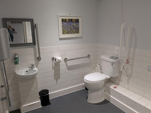 Image of an accessible toilet