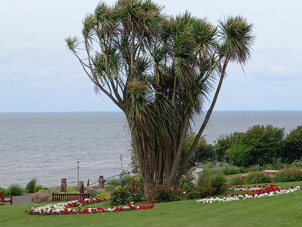 Hunstanton sea front. Couldn't see any signage for accessible loo at bus station and went straight into town. No-one seemed to know where an accessible loo was including cafe owners and staff at the Town Hall. Finally found blocks on the sea front each end of the gardens but one needs a grab bar on the inside as one cannot close it oneself due to the sea breeze