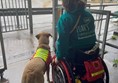 Image of a wheelchair user and assistance dog at Bristol Airport