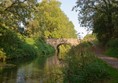 Picture of Grand Western Canal Country Park