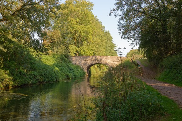 Picture of Grand Western Canal Country Park