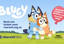 Bluey, Bingo and Hey Duggee are coming to Marwell Zoo!