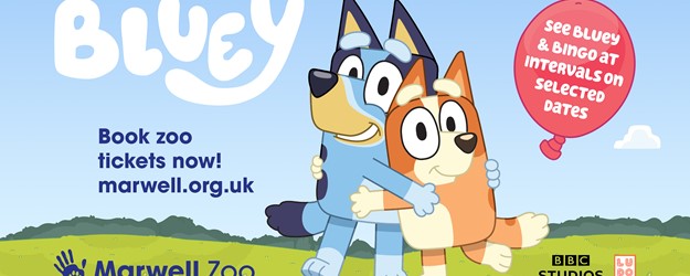 Bluey, Bingo and Hey Duggee are coming to Marwell Zoo! article image