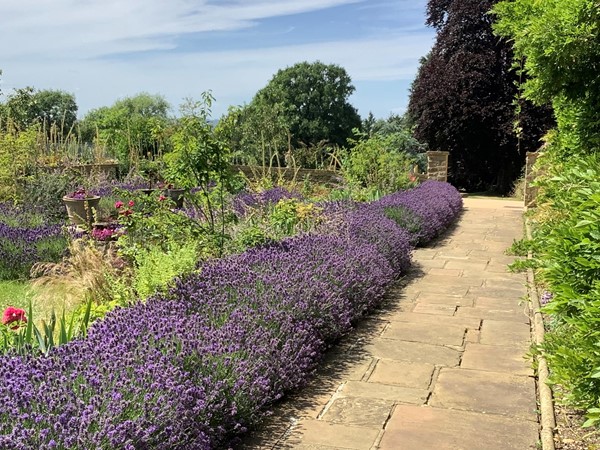 Picture of a garden path