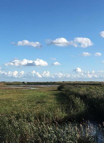 RSPB Minsmere Nature Reserve