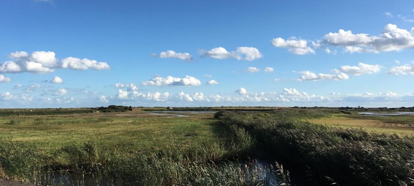 RSPB Minsmere Nature Reserve