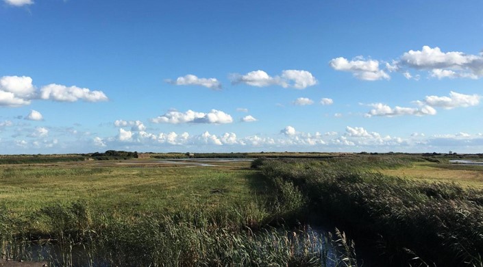 RSPB Minsmere Nature Reserve