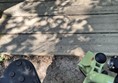 Image of wooden decking.