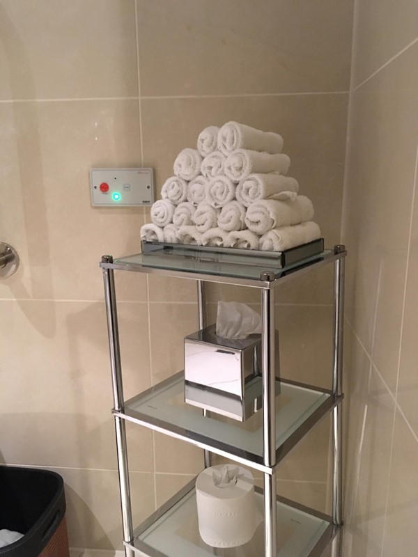 Accessible loo 2