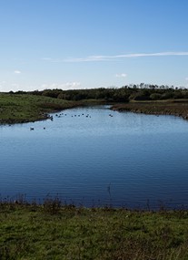 Hauxley Wildlife Discovery Centre