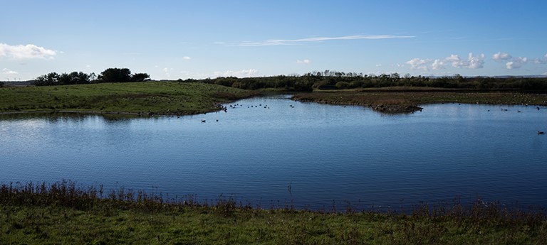 Hauxley Wildlife Discovery Centre