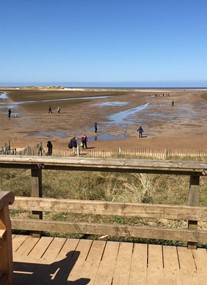 Holkham Beach