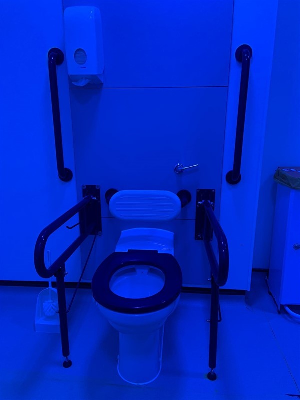 image of the toilet and handrails in the Changing Places toilet