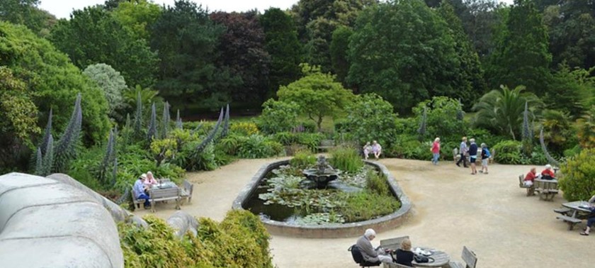 Ventnor Botanic Garden