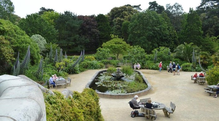 Ventnor Botanic Garden