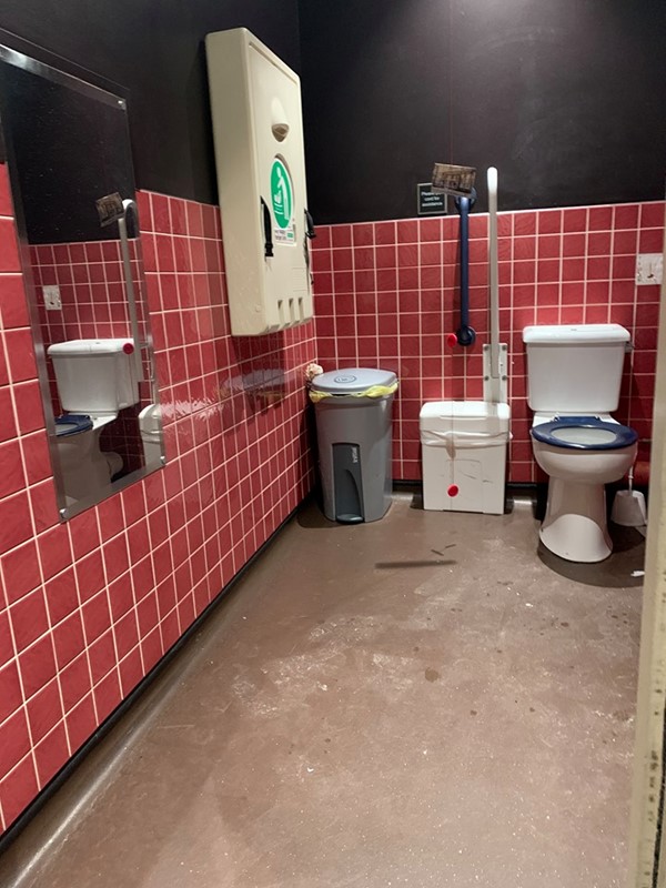 Image taken from the opening of the bathroom. View shows the mirror and baby change on one side of the toilet and the bins in the corner.
