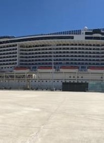 MSC Cruises