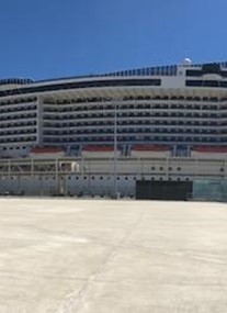 MSC Cruises